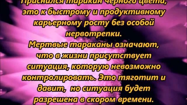 К чему снятся тараканы смотреть онлайн