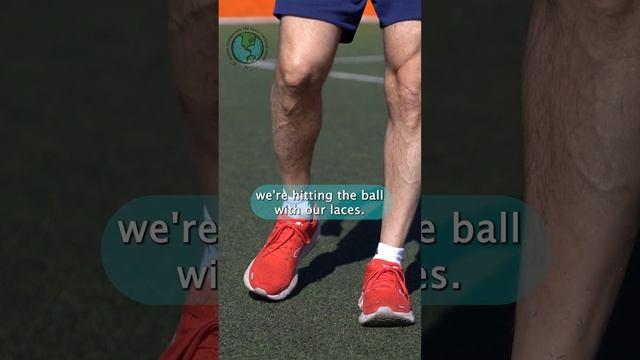 Volley Shots and Volley Techniques смотреть онлайн