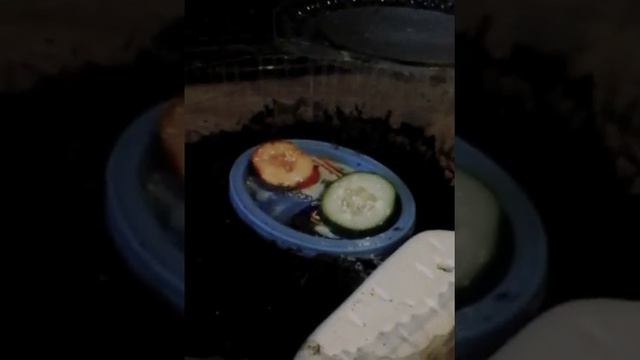 У меня появилась улитка смотреть онлайн