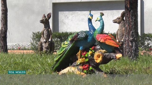 Улаанбаатар хот 41 төрлийн 200 гаруй ан амьтны барималтай цэцэрлэгт хүрээлэнтэй боллоо смотреть онлайн