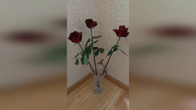 Как продлить жизнь цветам в вазе. Легче не бывает! смотреть онлайн