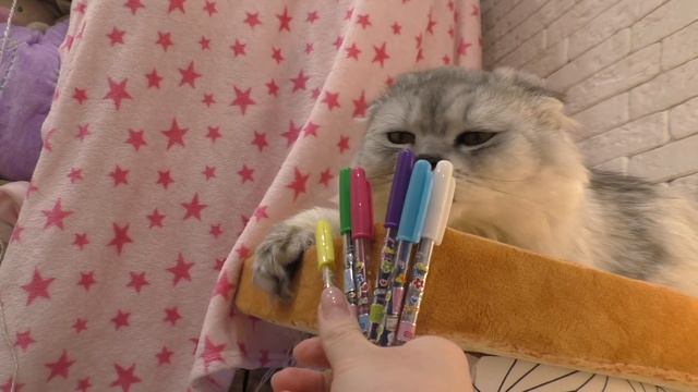 ПИСЬМО ДЕДУ МОРОЗУ ОТ ВСЕЕЕХ ЗВЕРОДЕТОК! КЕВИН, БИЛЛИ, АРИЕЛА И СЛАДУН НАПИСАЛИ ПИСЬМО смотреть онлайн