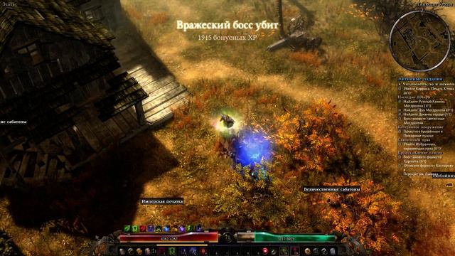 Grim  Dawn B 29 Заклятый  враг от  фракции эфириалы  - Валдаран, Штормовая плеть