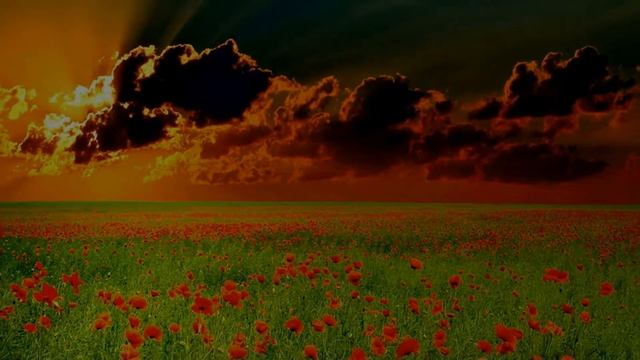 ДиДюЛя ЦВЕТНЫЕ СНЫ смотреть онлайн