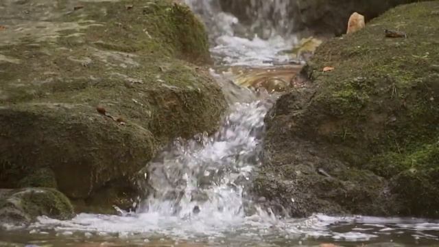 Музыка для расслабления нервной системы смотреть онлайн