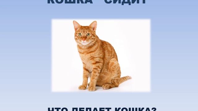 Слова   действия