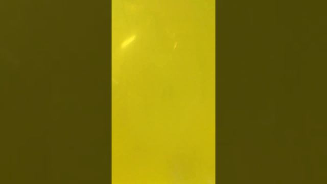 солнышко из воздушных шаров смотреть онлайн