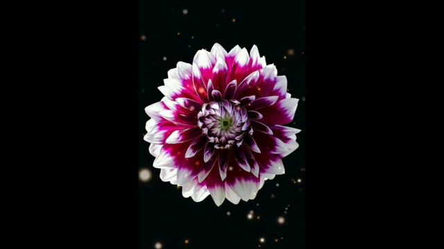 всё спокойно ночи смотреть онлайн