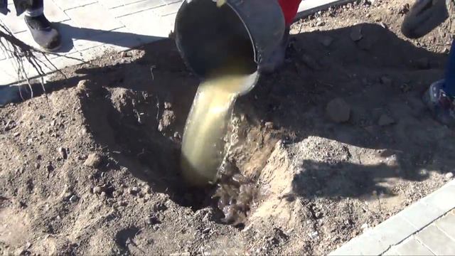 Аллея Героев расцветёт яркими красками смотреть онлайн
