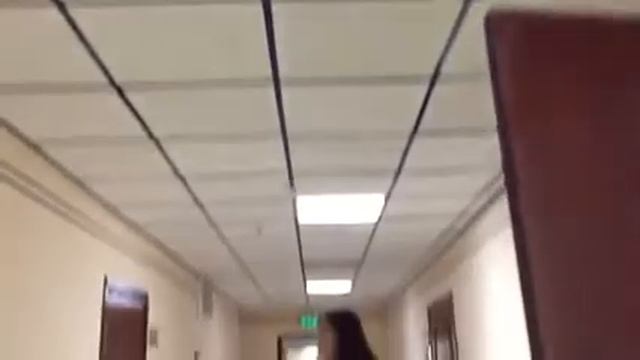 Кто пользуется мобильным приложением? смотреть онлайн