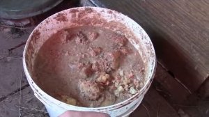 Чем   кормить маленьких  поросят