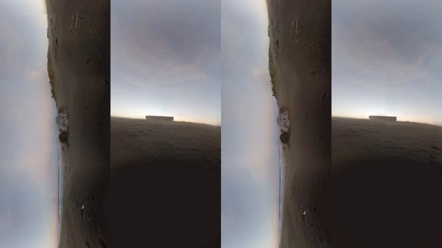 Дикие животные в Virtual Reality 360° 4K VR 3D видео для очков виртуальной реальности 360 TB