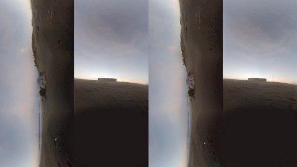 Дикие животные в Virtual Reality 360° 4K VR 3D видео для очков виртуальной реальности 360 TB