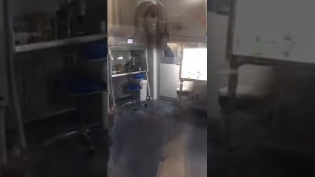 Часть 2 - Эмбриология. Экскурсия. Центр репродукции и генетики Нова Клиник смотреть онлайн