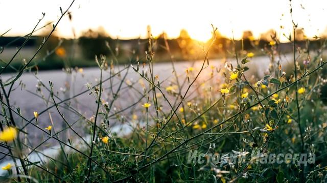 От безденежья Вероника устроилась горничной к вдовцу миллионеру. А увидев на фото родное лицо… смотреть онлайн