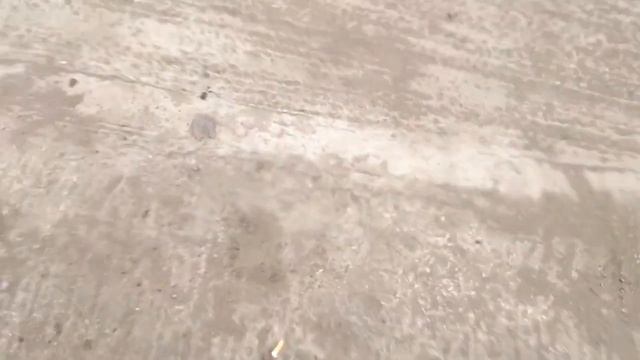 запчасти субару форестер бу смотреть онлайн