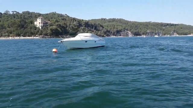 cranchi acquamarina 31 смотреть онлайн