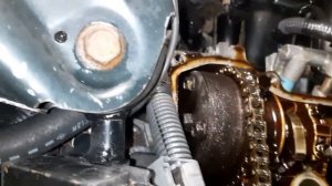 Проверка муфты VVTI на 2AZ