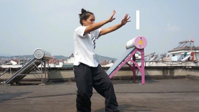 5 Animal QiGong Wudang