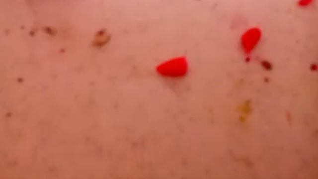 Как сделать Нюшу  из пластилина