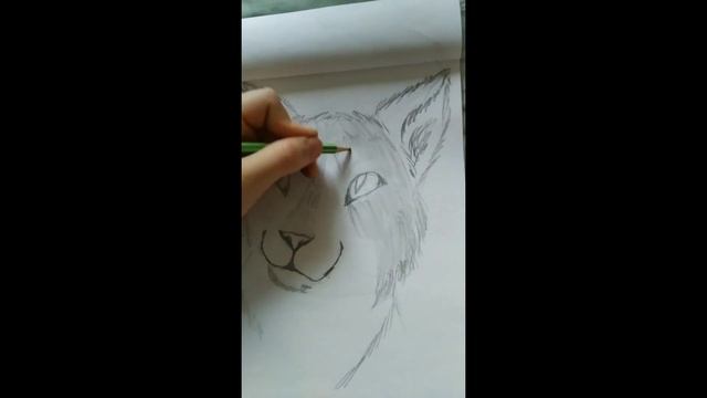 Как нарисовать кота/cat speedpaint ? смотреть онлайн