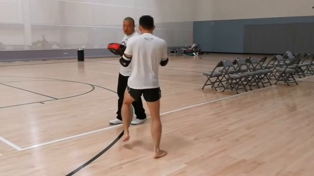 Bee Warm-Up with Ring to Cage Mini Deluxe Thai Pads and Extra Thick Air Mitts смотреть онлайн