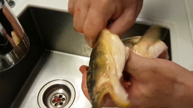 Karpfen Blau Zubereiten Und Kochen Nach Omas Rezept