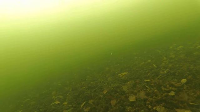 life in a lake under water in winter смотреть онлайн