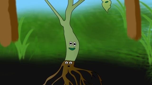 Из его состоят растения? Части растений. смотреть онлайн