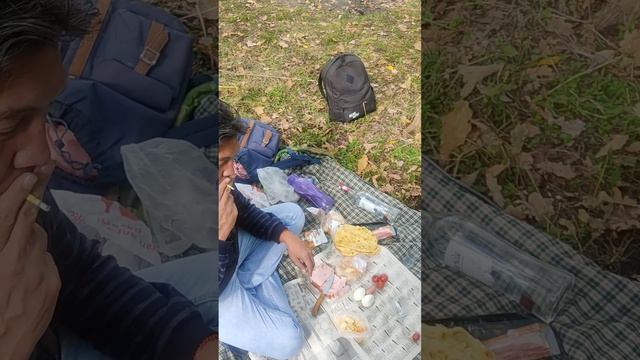 Пикник на свежем воздухе. Красота. Ляпота. Костры разводить нельзя смотреть онлайн