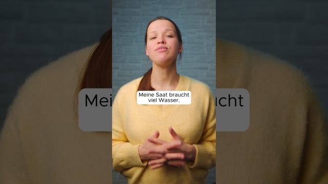 ПОСЕВ, СЫТЫЙ - немецкий язык с Алиной смотреть онлайн