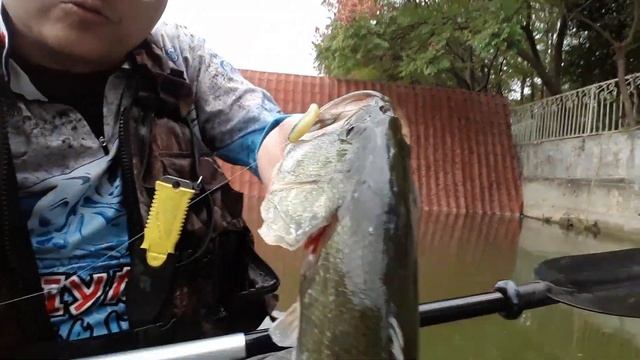 HOOKSET KAYAK - VIDEO 15 смотреть онлайн