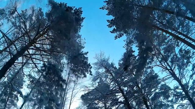 Зимняя сказка на озере Сингуль (Ялуторовск).