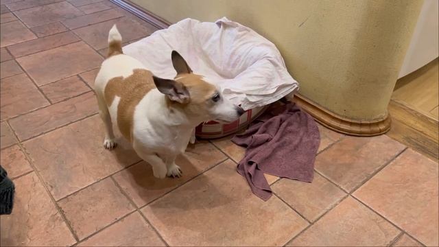 ПЕРВЫЙ ВЛОГ В 2023 ГОДУ | СДЕЛАЛА ГУБЫ ? | РЕЦЕПТ ПП МАННИКА ? | МОЙ НОВЫЙ ГРАФИК?? смотреть онлайн