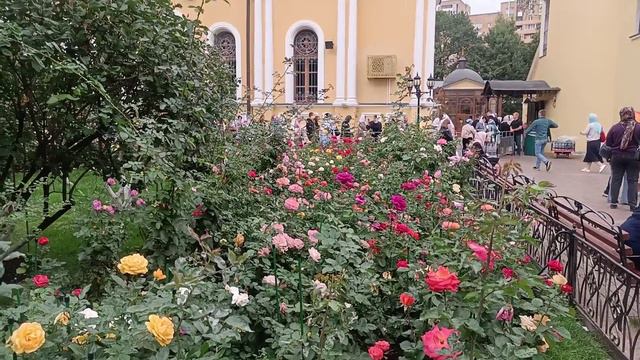 МАТРОНА МОСКОВСКАЯ