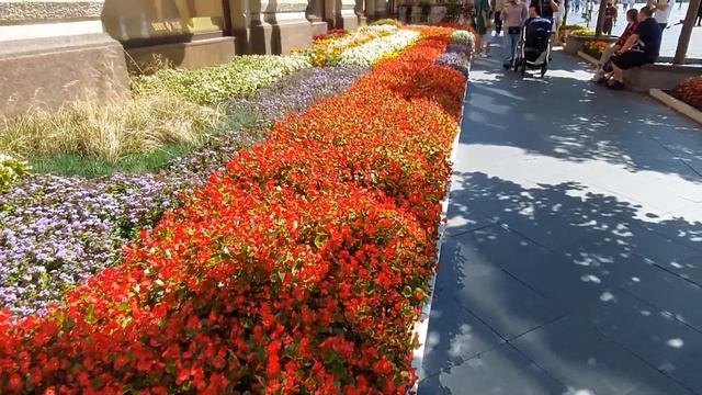 В Москве "Цветочный джем"! смотреть онлайн