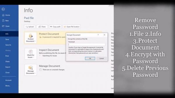 How to Remove a Password from a MS Word Document| Unlock Word Document