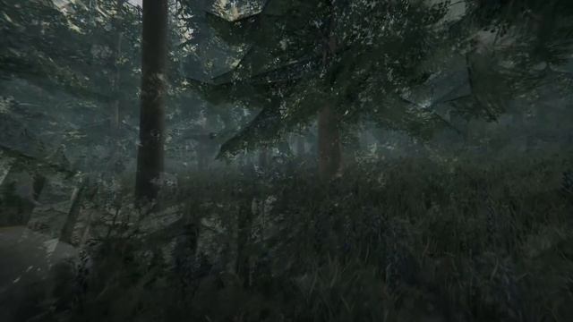 Skin-walker Lore Explained! смотреть онлайн