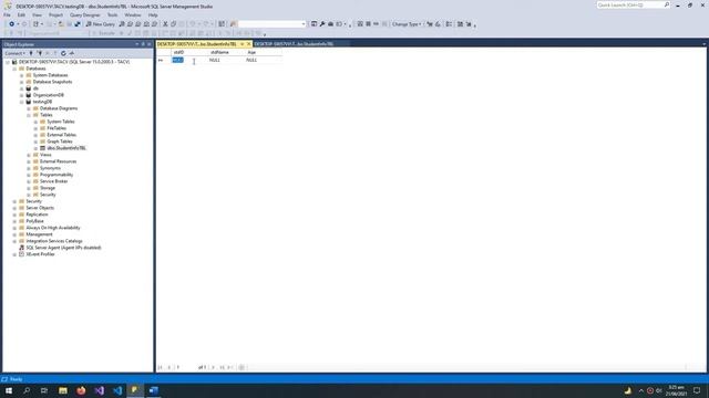 SQL Server Management Studio, Software Basics смотреть онлайн