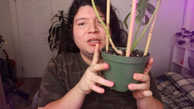 HOYA IMPERIALIS | Make Me Bloom Episode 1 смотреть онлайн