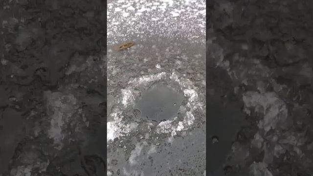 Первый лед2022-23, первое видео снятое на телефон)))Прикольная рыбалка. Рыбалка в Казахстане!!! смотреть онлайн