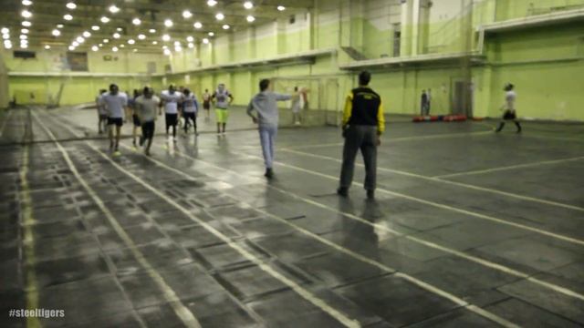 Дрессировка тигров (Тренировка в межсезонье) смотреть онлайн