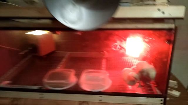 Брудер переделан смотреть онлайн