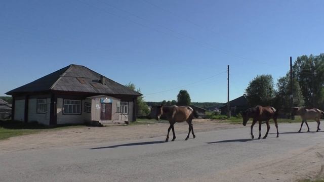 КРАСАВЦЫ КОНИ))) ТАБУН смотреть онлайн