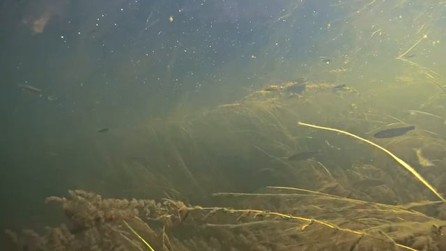 р. Ангара смотреть онлайн