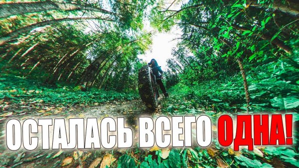 Розыгрыш звуковой карты M-Audio Air 192|4 + результаты предыдущего