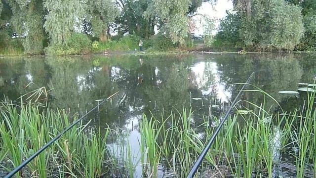 Первая рыбка смотреть онлайн