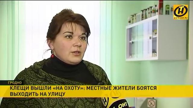 Клещи атаковали жителей микрорайона на окраине Гродно смотреть онлайн