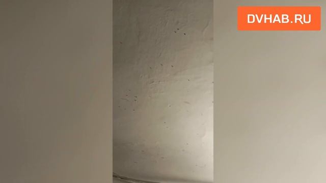 СтройТехнологии