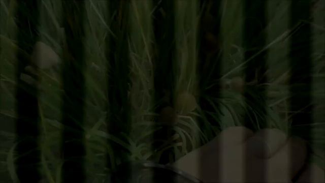 ремонт ноутбуков не выгоден ipnout.com айпиноут actions2.ru смотреть онлайн